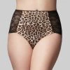 Precision Lace Full Brief Safari Animal -Fashion underwear B3A2CC04 F62B 4311 A6E9 BC65540C32A9