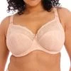 Elomi Morgan UW Bra Cameo Rose -Fashion underwear EL4110 CRO primary Elomi Lingerie Morgan Cameo Rose Underwired Bra