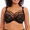 Elomi Sachi Plunge Uw Bra Black Butterfly 2 Elomi Sachi Plunge Uw Bra Black Butterfly -Fashion underwear EL4353 BFL primary Elomi Lingerie Sachi Black Butterfly Underwire Plunge Bra