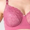 Temptation Nursing Bra Rose -Fashion underwear Hotmilk 20Lingerie 20 20Temptation 20Rose srgb 2