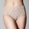 Classic Lace Full Brief Nude -Fashion underwear TK Classic lace nude fullbrief 01 600x600 1